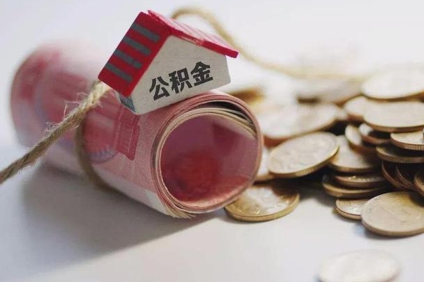 桂阳补充公积金（补充公积金怎么查）